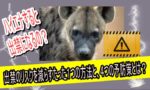 ハイエナ　出禁　防止